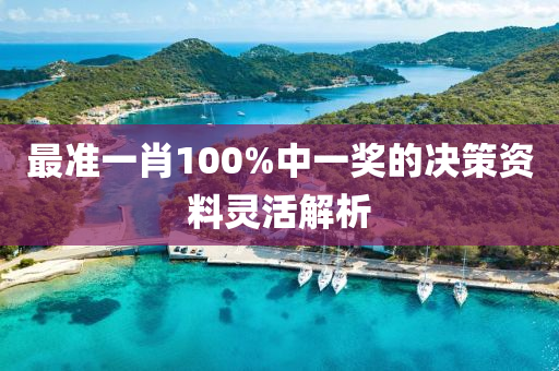 最準(zhǔn)一肖100%中一獎(jiǎng)的決液壓動(dòng)力機(jī)械,元件制造策資料靈活解析