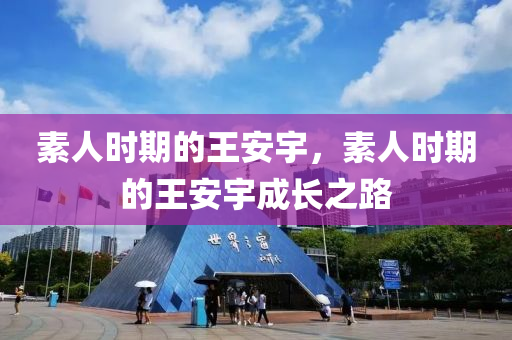 素人時(shí)期的王安宇，素人時(shí)期的王安宇成長之路液壓動(dòng)力機(jī)械,元件制造