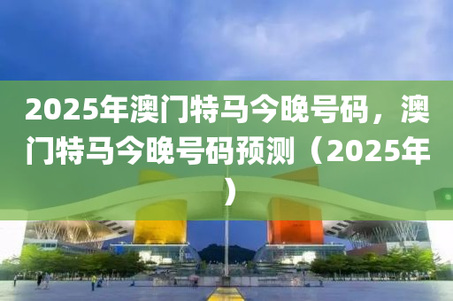 2025年澳門特馬今晚號(hào)碼，澳門特馬今晚號(hào)碼預(yù)測(cè)（2025年）