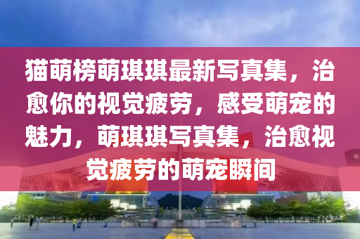 貓萌榜萌琪琪最新寫(xiě)真集，治愈你的視覺(jué)疲勞，感受萌寵的魅力，萌琪琪寫(xiě)真集，治愈視覺(jué)疲勞的萌寵瞬間液壓動(dòng)力機(jī)械,元件制造