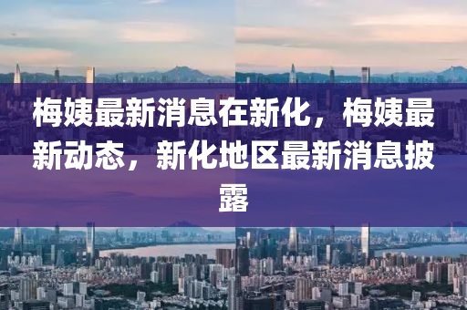 梅姨最新消息在新化，梅姨最新動(dòng)態(tài)，新化地區(qū)最新消息披露液壓動(dòng)力機(jī)械,元件制造