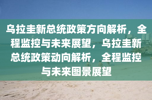烏拉圭新總統(tǒng)政策方向解析，全程監(jiān)控與未來展望，烏拉圭新總統(tǒng)政策動(dòng)向解析，全程監(jiān)控與未來圖景展望液壓動(dòng)力機(jī)械,元件制造