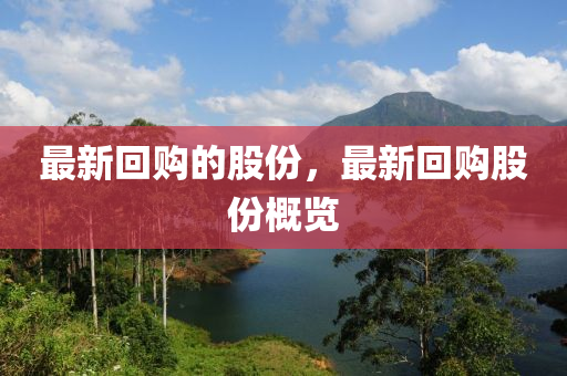 最新回購的股份，最新回購股份概覽液壓動(dòng)力機(jī)械,元件制造