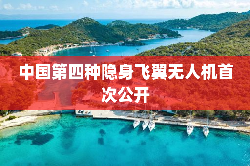 中國第四種隱身飛翼無人機(jī)首次公開液壓動力機(jī)械,元件制造