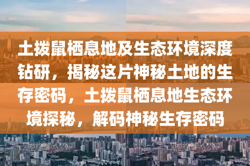 土撥鼠棲息地及生態(tài)環(huán)境深度鉆研，揭秘這片神秘土地的生存密碼，土撥鼠棲息地生液壓動(dòng)力機(jī)械,元件制造態(tài)環(huán)境探秘，解碼神秘生存密碼