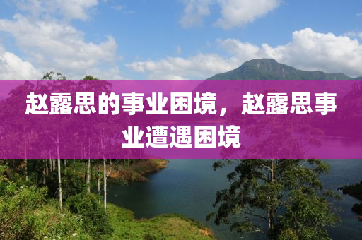 趙露思的事業(yè)困境，趙露思事業(yè)遭遇困境液壓動力機械,元件制造