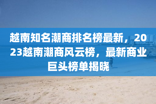 越南知名潮商排名榜最新，2023越南潮商風(fēng)云榜，最新商業(yè)巨頭榜單揭曉液壓動(dòng)力機(jī)械,元件制造