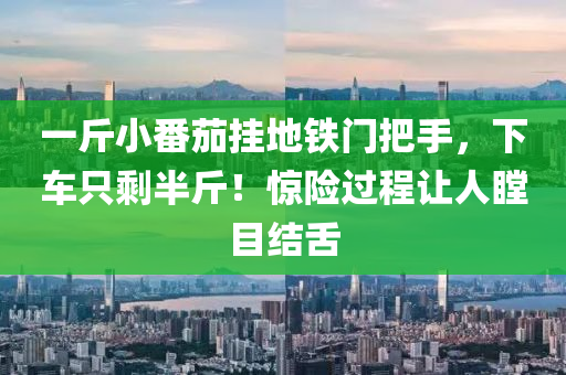 一斤小番茄掛地鐵門把手，下車只剩半斤！驚險過程讓人瞠目結(jié)舌液壓動力機(jī)械,元件制造