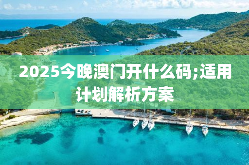 2025今晚澳門開什么碼;適用計劃解析方案液壓動力機(jī)械,元件制造