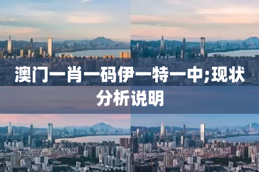 澳門一肖一碼伊一特一中;現(xiàn)狀分析說明液壓動力機(jī)械,元件制造