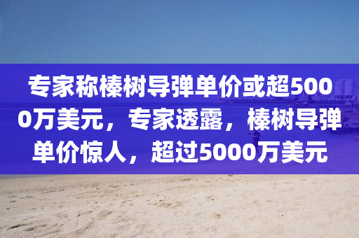 專家稱榛樹導(dǎo)彈單價或超5000萬液壓動力機械,元件制造美元，專家透露，榛樹導(dǎo)彈單價驚人，超過5000萬美元