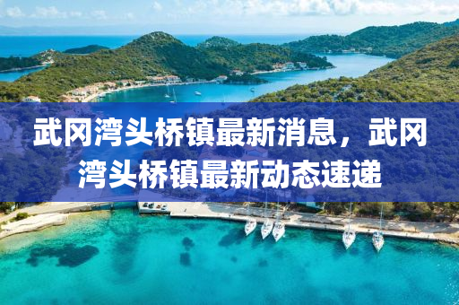 武岡灣頭橋鎮(zhèn)最新消息，液壓動(dòng)力機(jī)械,元件制造武岡灣頭橋鎮(zhèn)最新動(dòng)態(tài)速遞
