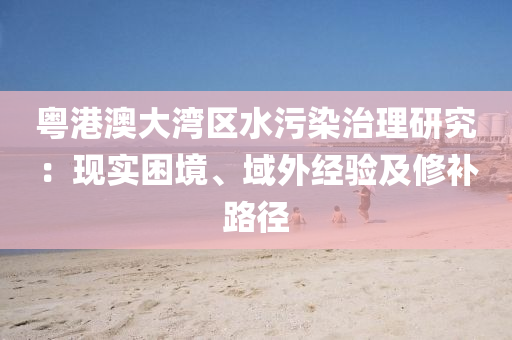 粵港澳大灣區(qū)水污染治理研究：現(xiàn)實(shí)困境、域外經(jīng)驗(yàn)及修補(bǔ)路徑液壓動(dòng)力機(jī)械,元件制造