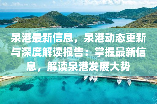 泉港最新信息，泉港動態(tài)更新與深度解讀報告：掌握最新信息，解讀泉港發(fā)展大液壓動力機械,元件制造勢