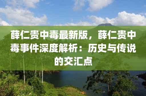 薛仁貴中毒最新版，薛仁貴中毒事件深度液壓動力機(jī)械,元件制造解析：歷史與傳說的交匯點
