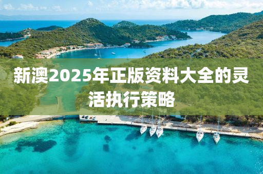 新澳2液壓動(dòng)力機(jī)械,元件制造025年正版資料大全的靈活執(zhí)行策略