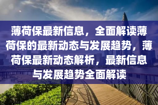 薄荷保最新信息，全面解讀薄荷保的最新動(dòng)態(tài)與發(fā)展趨勢(shì)，薄荷保最新動(dòng)態(tài)解析，最新信息與發(fā)展趨勢(shì)全面解讀液壓動(dòng)力機(jī)械,元件制造