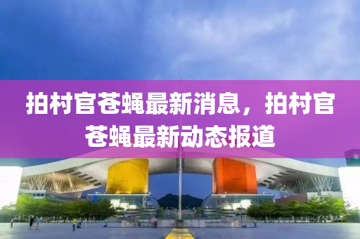 拍村官蒼蠅最新消息，拍村官蒼蠅最新動(dòng)液壓動(dòng)力機(jī)械,元件制造態(tài)報(bào)道