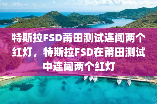 特斯拉FSD莆田測(cè)試連闖兩個(gè)紅燈，特斯拉FSD在莆田測(cè)試中連闖兩個(gè)紅燈液壓動(dòng)力機(jī)械,元件制造