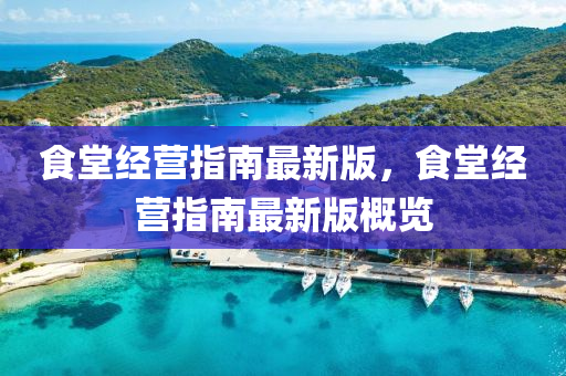 食堂液壓動(dòng)力機(jī)械,元件制造經(jīng)營(yíng)指南最新版，食堂經(jīng)營(yíng)指南最新版概覽