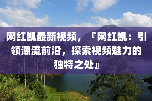 網紅凱最新視頻，『網紅凱：引領潮流前沿，液壓動力機械,元件制造探索視頻魅力的獨特之處』