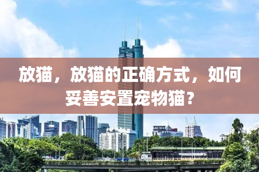 放貓，放貓的正確方式，如何妥善安置寵物貓？液壓動(dòng)力機(jī)械,元件制造