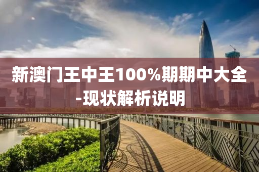 新澳門王中王100%期期中大全-現(xiàn)狀解析說明液壓動力機械,元件制造
