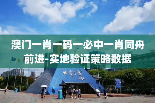 澳門一肖液壓動力機械,元件制造一碼一必中一肖同舟前進-實地驗證策略數(shù)據(jù)