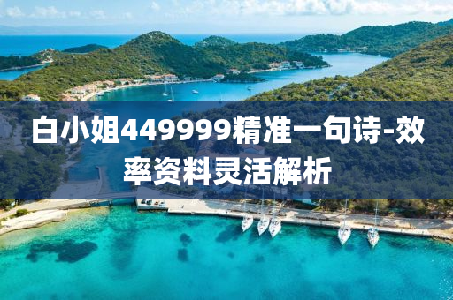 白小姐449999精準一句詩-效率資料靈活解析液壓動力機械,元件制造