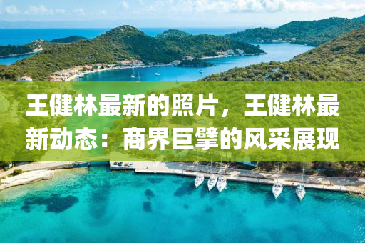 王健林最新的照片，王健林最新動態(tài)：商界巨擘的風(fēng)采展現(xiàn)液壓動力機(jī)械,元件制造