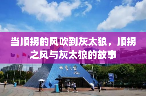 當(dāng)順拐的風(fēng)吹到灰太狼，順拐之風(fēng)與灰太狼的故事液壓動(dòng)力機(jī)械,元件制造