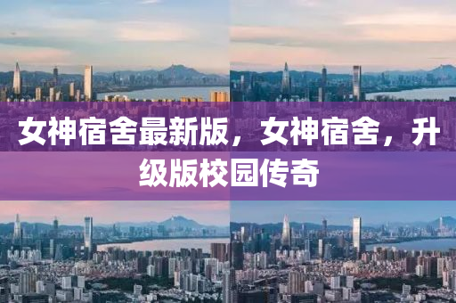 女神宿舍最新版，女神宿舍，液壓動(dòng)力機(jī)械,元件制造升級(jí)版校園傳奇