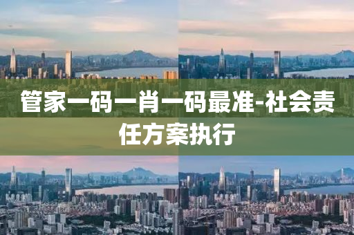 管家一碼一肖一碼最準-社會責任方案執(zhí)行液壓動力機械,元件制造