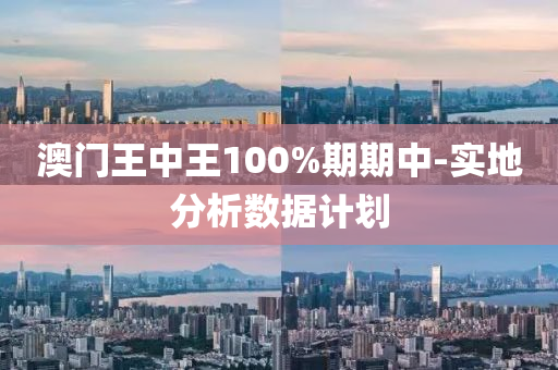 澳門王中王100液壓動力機械,元件制造%期期中-實地分析數(shù)據(jù)計劃