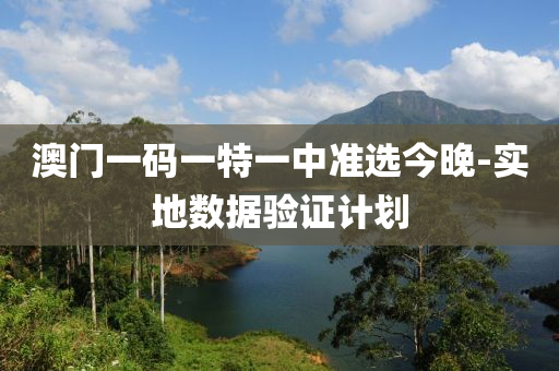 澳門一碼一特一中準選今晚-實地數(shù)據(jù)驗證計劃液壓動力機械,元件制造