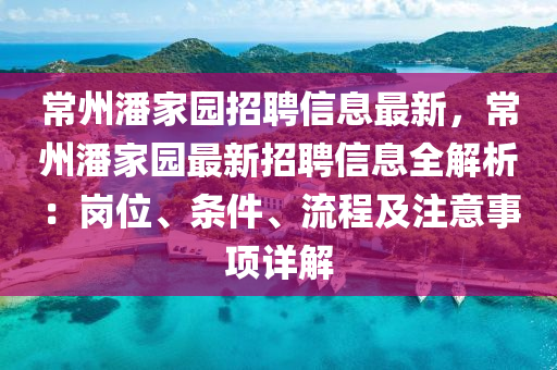 常州潘家園招聘信息最新，常州潘家園最新招聘信息全解液壓動力機械,元件制造析：崗位、條件、流程及注意事項詳解
