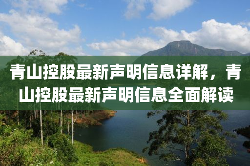 青山控股最新聲明信息詳解，青山控股最新聲明信息全面解讀液壓動力機械,元件制造