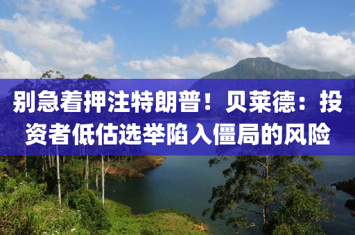 別急著押注特朗普！貝萊德：投資者低估選舉陷入僵局的風險液壓動力機械,元件制造