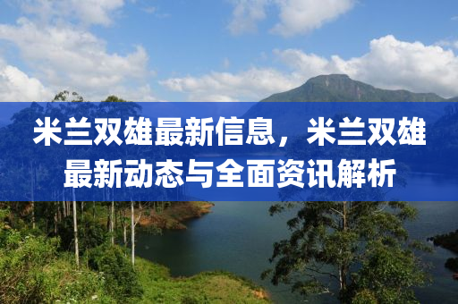 米蘭雙雄最新信息，米蘭液壓動力機(jī)械,元件制造雙雄最新動態(tài)與全面資訊解析