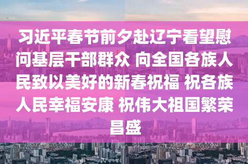 習(xí)近平春節(jié)前夕赴遼寧看望慰問(wèn)基層干部群眾 向全國(guó)各族人民致以美好的新春祝福 祝各族人民幸福安康 祝偉大祖國(guó)繁榮昌盛液壓動(dòng)力機(jī)械,元件制造