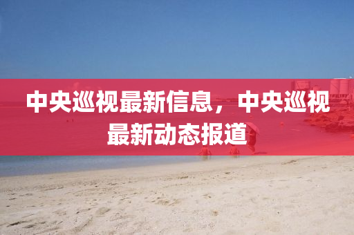 中央巡視最新信息，中央巡視最新動態(tài)報道液壓動力機(jī)械,元件制造