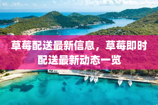 草莓配送最新信息，草莓即時配送最新動態(tài)一覽液壓動力機械,元件制造
