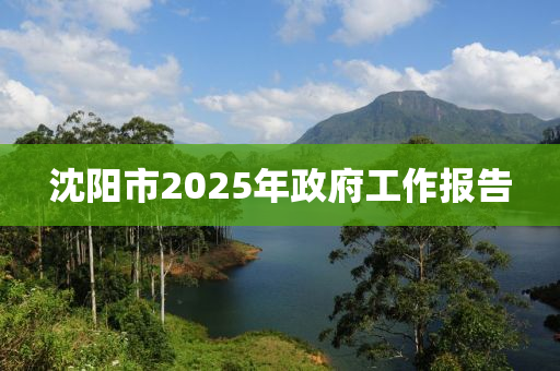 沈陽(yáng)市2025年政府工作報(bào)告液壓動(dòng)力機(jī)械,元件制造