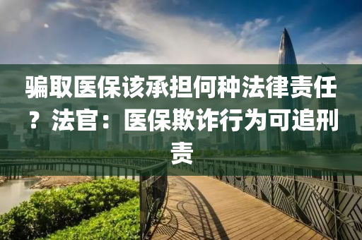 騙取醫(yī)保該承擔(dān)何種法律責(zé)任？法官：醫(yī)保欺詐行為可追刑責(zé)液壓動(dòng)力機(jī)械,元件制造