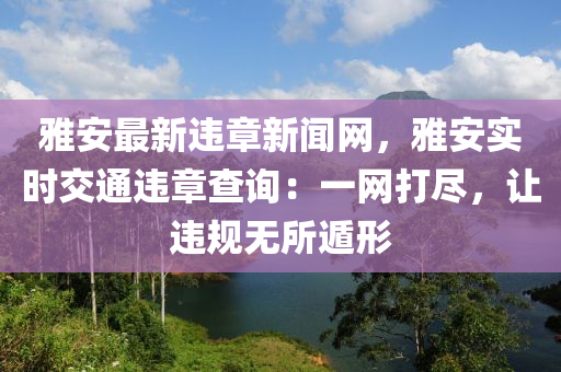 雅安最新違章新聞網(wǎng)，雅安實(shí)時(shí)交通違章查詢：一網(wǎng)打盡，讓違液壓動(dòng)力機(jī)械,元件制造規(guī)無所遁形