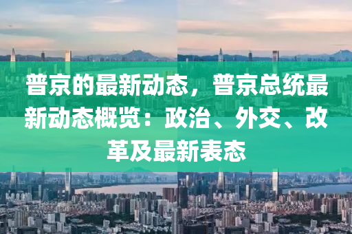 普京的最新動態(tài)，普京總統(tǒng)最新動態(tài)概覽：政治、外交、液壓動力機(jī)械,元件制造改革及最新表態(tài)