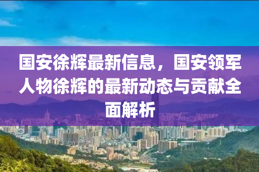 國安徐輝最新信息，國安領軍人物徐輝的最新動態(tài)與貢獻全面解析液壓動力機械,元件制造