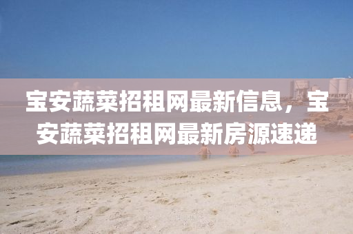 寶安蔬菜招租網(wǎng)最新信息，寶安蔬菜招租網(wǎng)最新房源速遞液壓動(dòng)力機(jī)械,元件制造