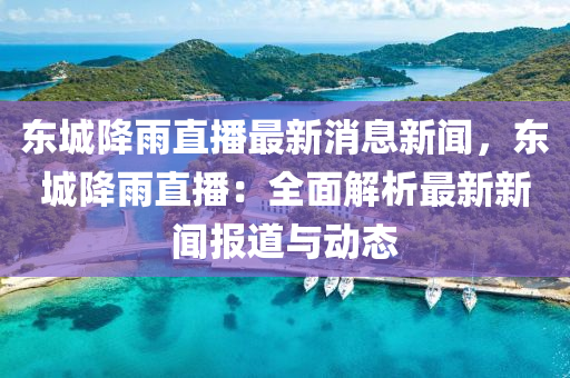 東城降雨直播最新消息新聞，東城降雨直播：全面解析最新新聞報道與動態(tài)液壓動力機械,元件制造