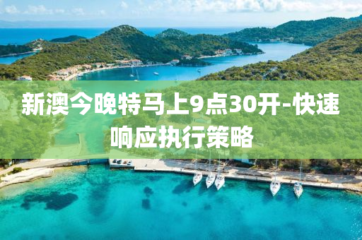 新澳今晚特馬上9點(diǎn)液壓動(dòng)力機(jī)械,元件制造30開(kāi)-快速響應(yīng)執(zhí)行策略